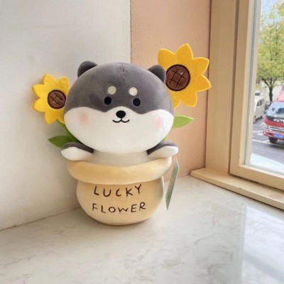 Chú cún hoa hướng dương