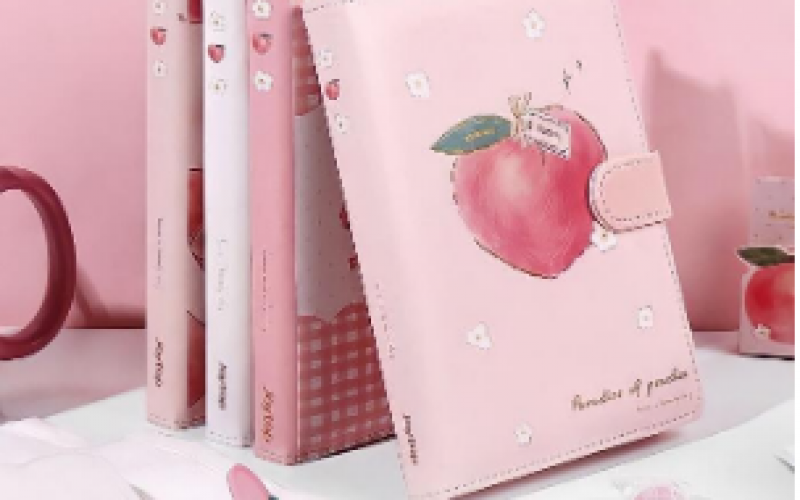 Notebook hình quả đào