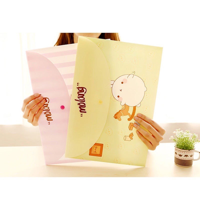 Bìa sơ mi hoạt hình 