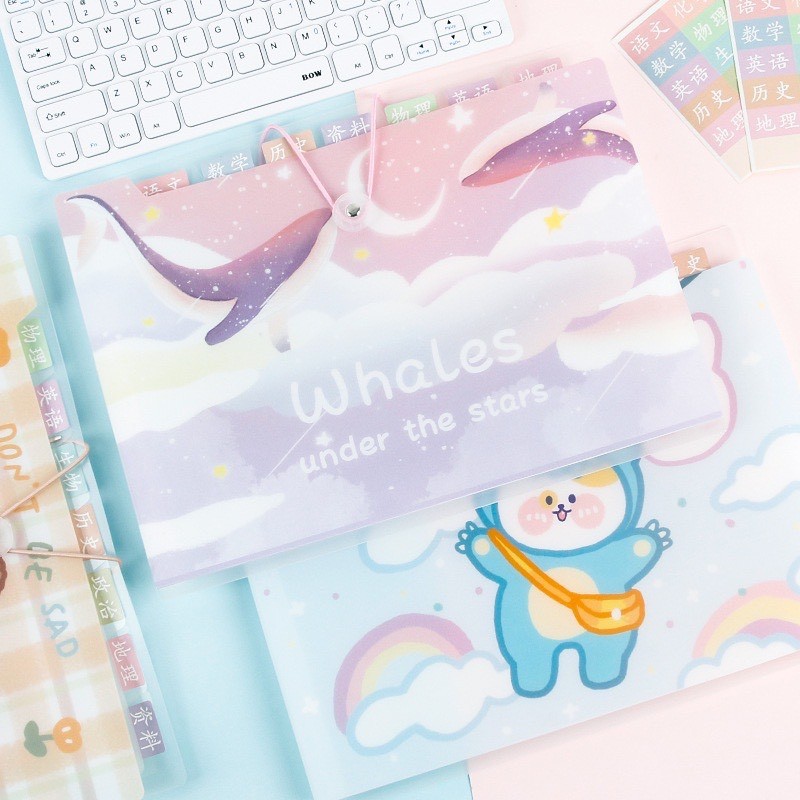 Bìa sơ mi A4 8-12 ngăn