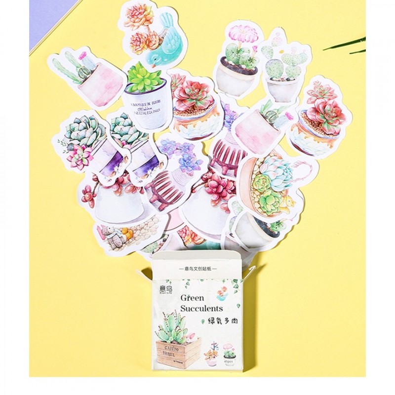 ￼Sticker chủ đề Cây Xương Rồng Xanh 